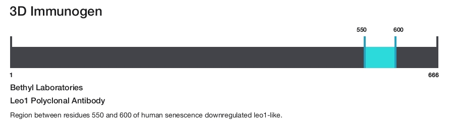 Leo1 Polyclonal Antibody