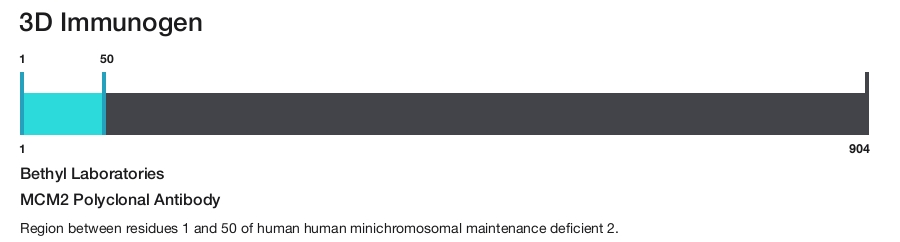 MCM2 Polyclonal Antibody
