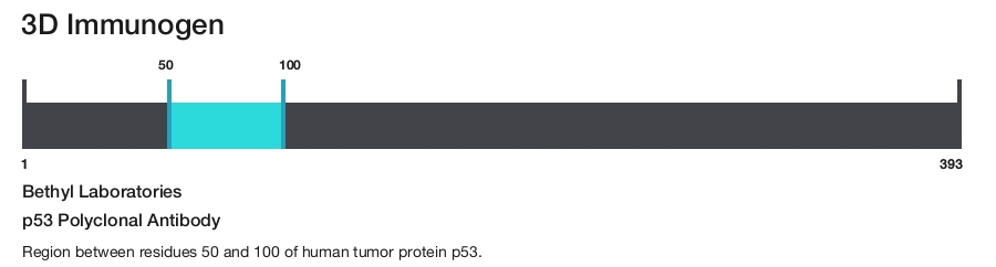 p53 Polyclonal Antibody