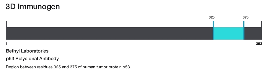 p53 Polyclonal Antibody