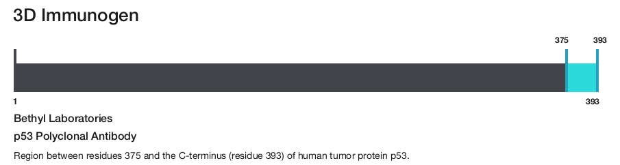 p53 Polyclonal Antibody