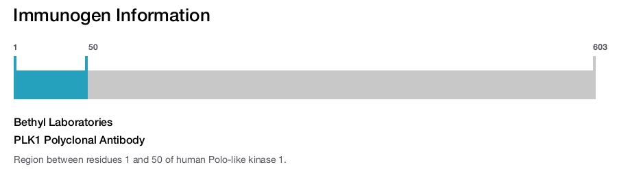 PLK1 Polyclonal Antibody