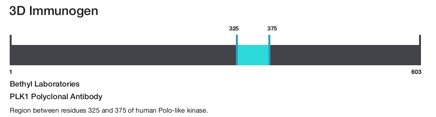 PLK1 Polyclonal Antibody