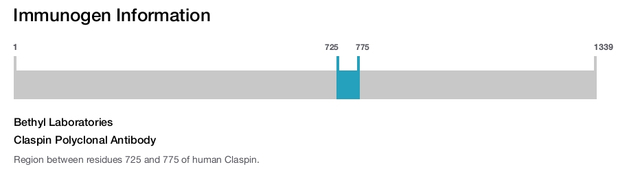 Claspin Polyclonal Antibody
