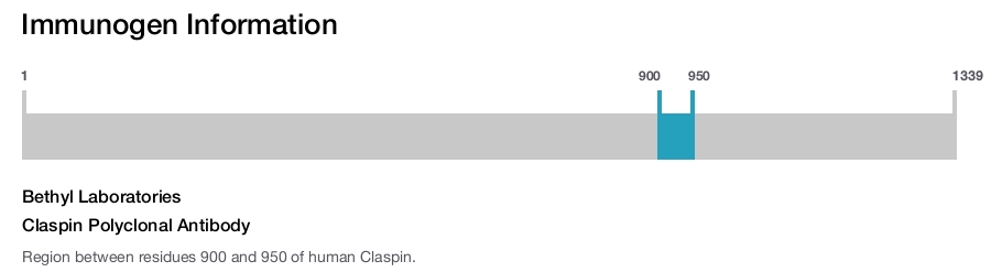 Claspin Polyclonal Antibody