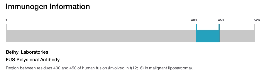 FUS Polyclonal Antibody