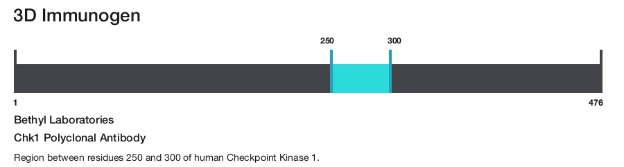 Chk1 Polyclonal Antibody