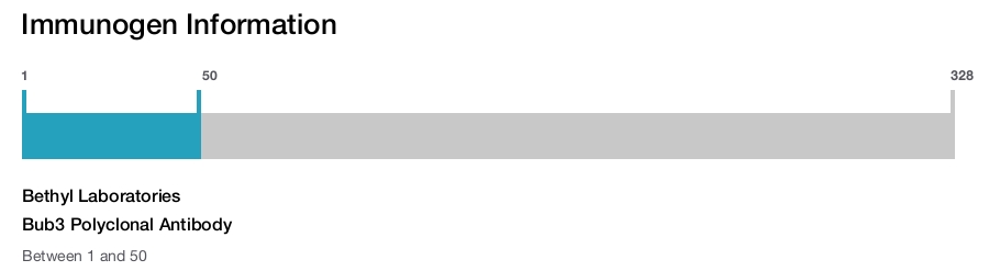 Bub3 Polyclonal Antibody