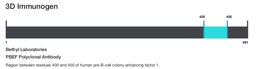 PBEF Polyclonal Antibody