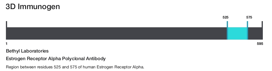 Estrogen Receptor Alpha Polyclonal Antibody