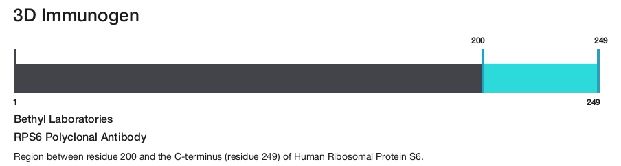 RPS6 Polyclonal Antibody