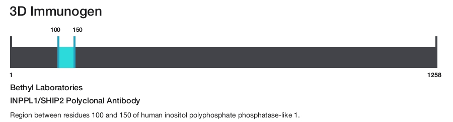 INPPL1/SHIP2 Polyclonal Antibody