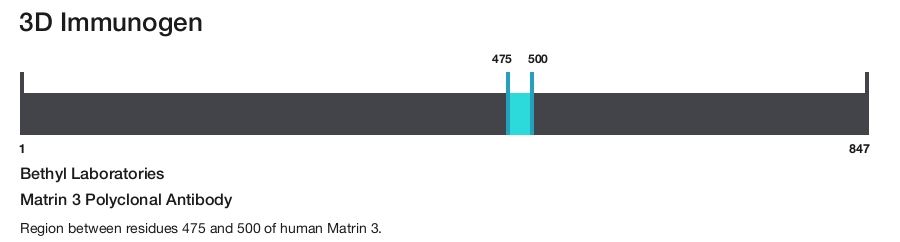 Matrin 3 Polyclonal Antibody