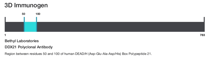DDX21 Polyclonal Antibody