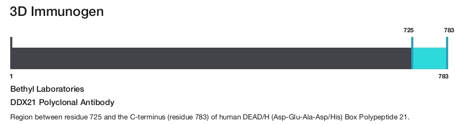 DDX21 Polyclonal Antibody