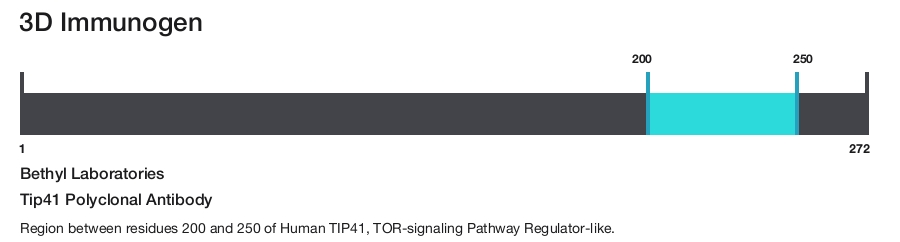 Tip41 Polyclonal Antibody