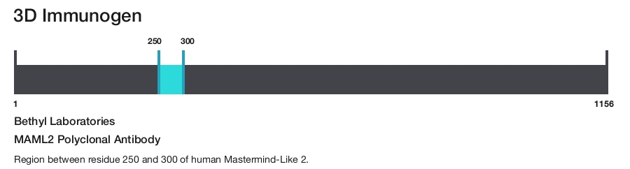 MAML2 Polyclonal Antibody