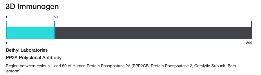 PP2A Polyclonal Antibody