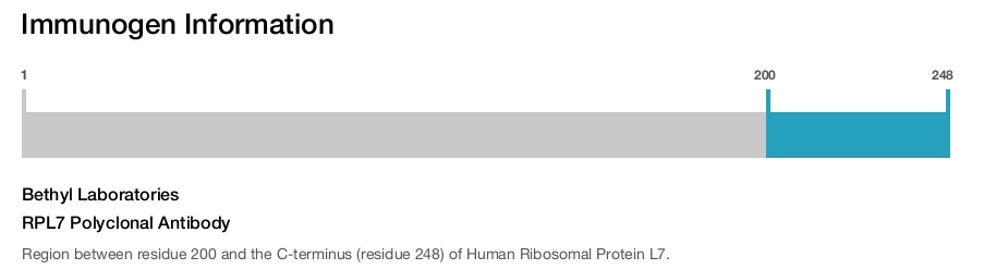 RPL7 Polyclonal Antibody