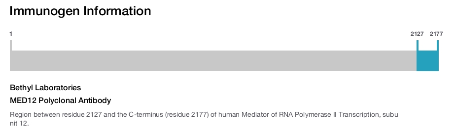 MED12 Polyclonal Antibody
