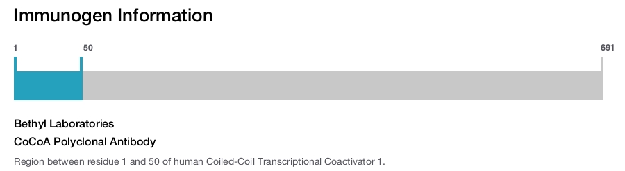 CoCoA Polyclonal Antibody