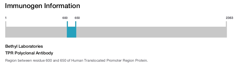 TPR Polyclonal Antibody