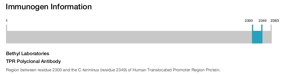 TPR Polyclonal Antibody