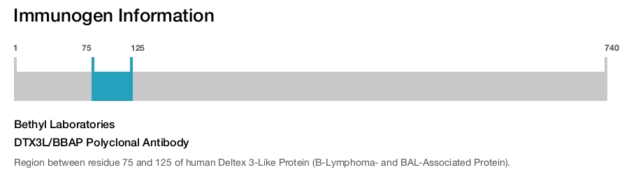 DTX3L/BBAP Polyclonal Antibody