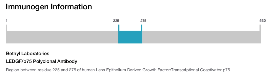 LEDGF/p75 Polyclonal Antibody