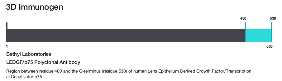 LEDGF/p75 Polyclonal Antibody