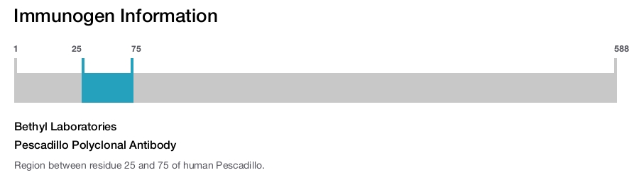 Pescadillo Polyclonal Antibody