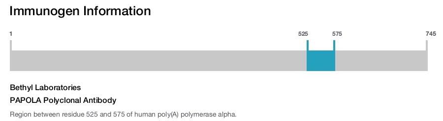 PAPOLA Polyclonal Antibody