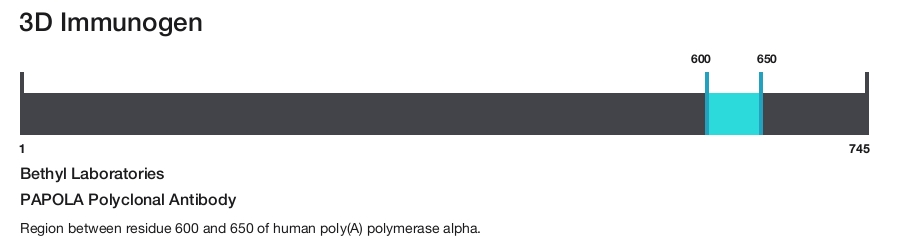 PAPOLA Polyclonal Antibody