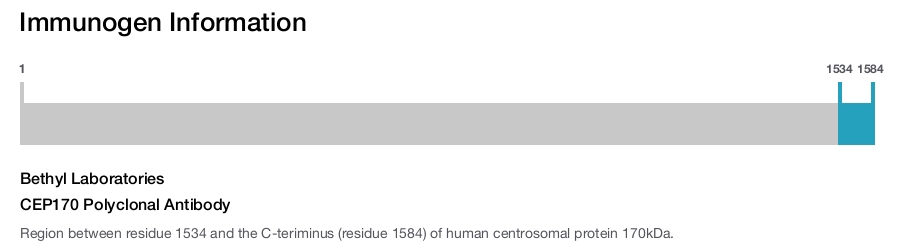 CEP170 Polyclonal Antibody