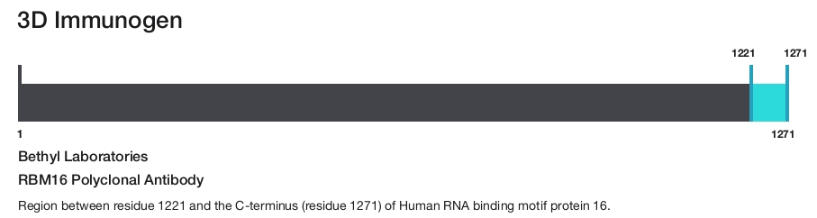RBM16 Polyclonal Antibody