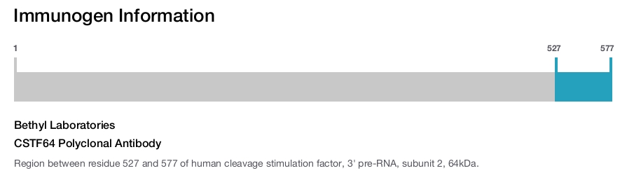 CSTF64 Polyclonal Antibody