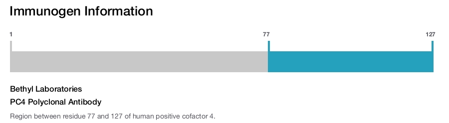 PC4 Polyclonal Antibody