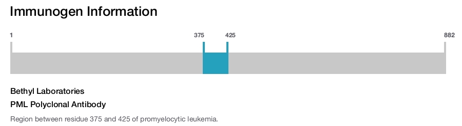 PML Polyclonal Antibody