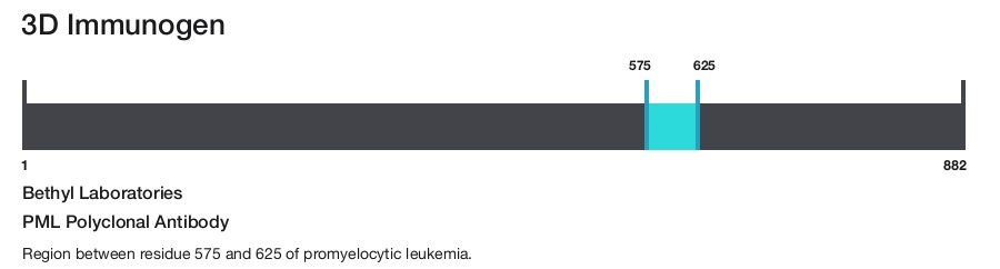 PML Polyclonal Antibody