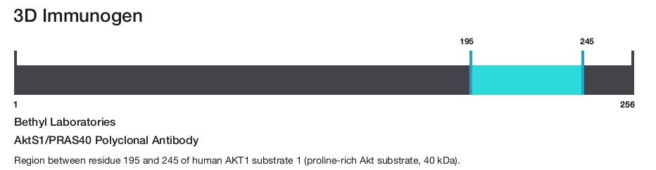 AktS1/PRAS40 Polyclonal Antibody