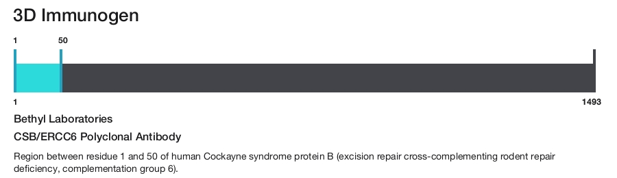 CSB/ERCC6 Polyclonal Antibody