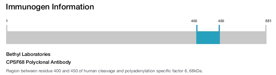 CPSF68 Polyclonal Antibody