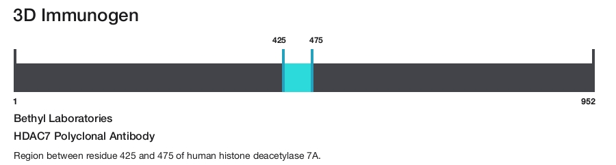 HDAC7 Polyclonal Antibody
