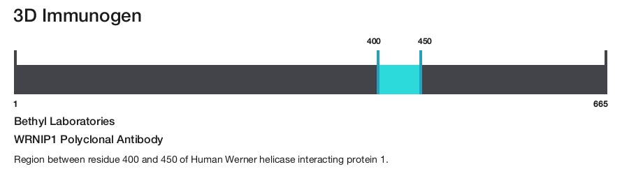 WRNIP1 Polyclonal Antibody