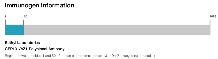 CEP131/AZ1 Polyclonal Antibody