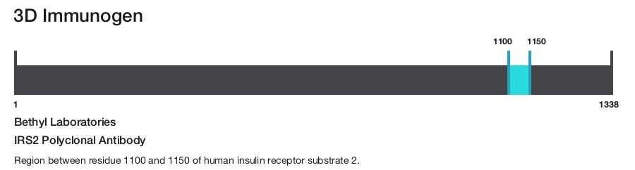 IRS2 Polyclonal Antibody