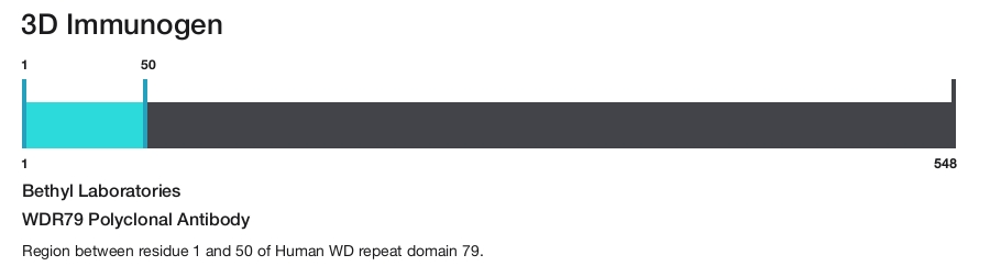 WDR79 Polyclonal Antibody