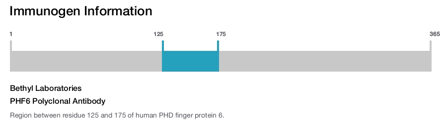 PHF6 Polyclonal Antibody