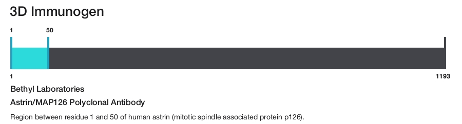 Astrin/MAP126 Polyclonal Antibody