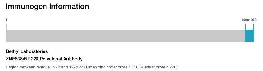ZNF638/NP220 Polyclonal Antibody